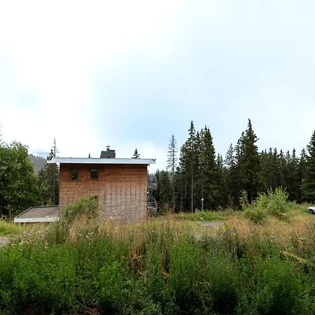 Apartment Apt In Chamrousse, Near Ski Slope Chamrousse